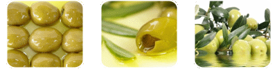 Olea Europaea Oil